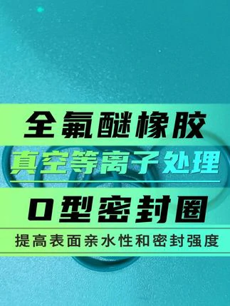 全氟醚橡胶O型密封圈
